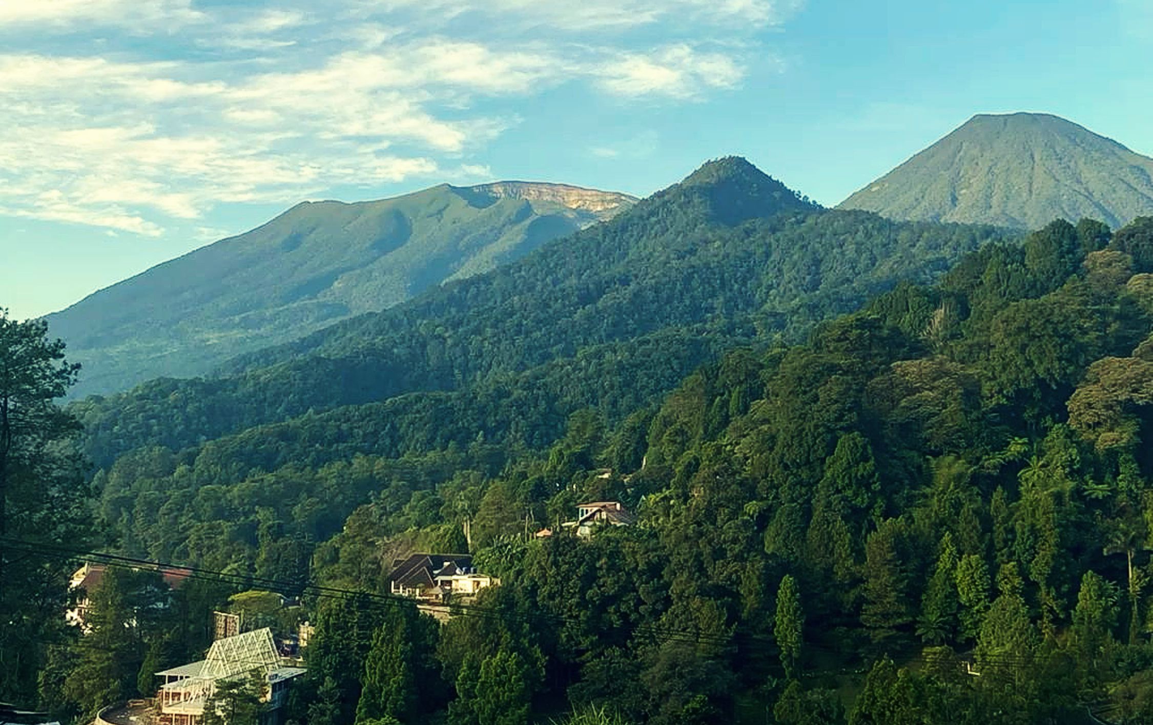 malino 1